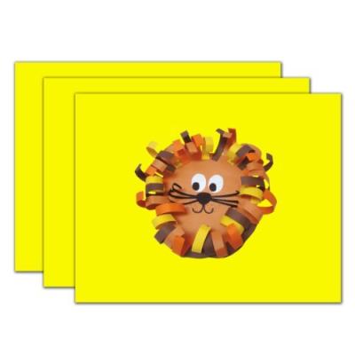 POSTERBOARD YELLOW 22X28 (25)